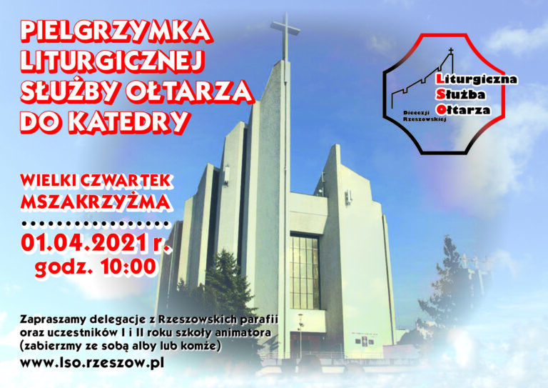 Pielgrzymka LSO do Katedry